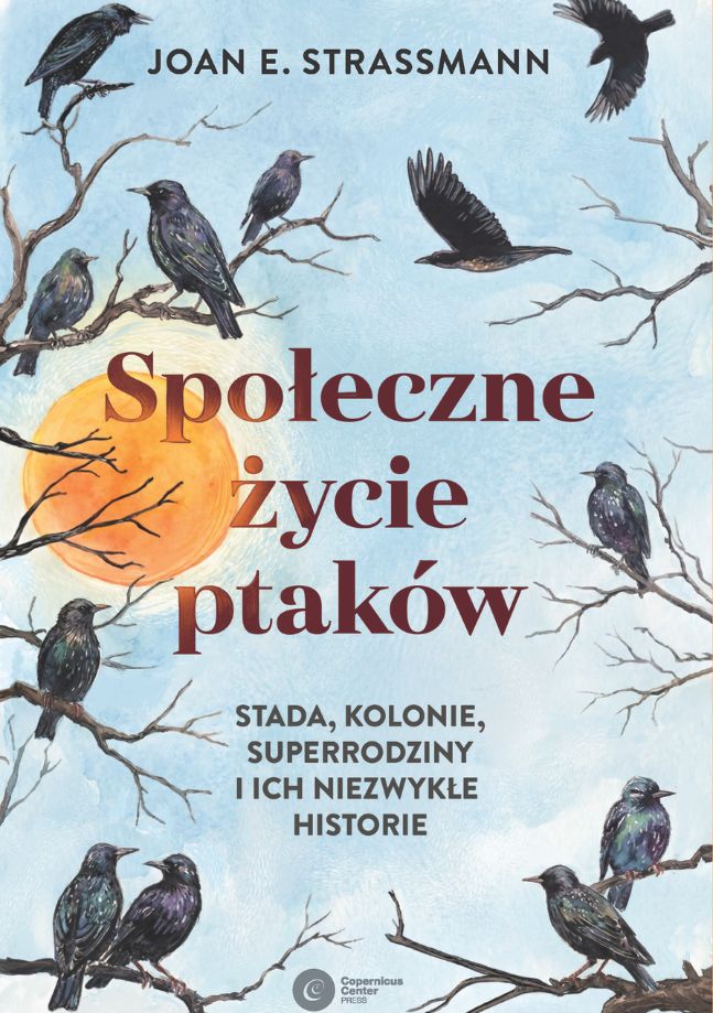 Społeczne życie ptaków